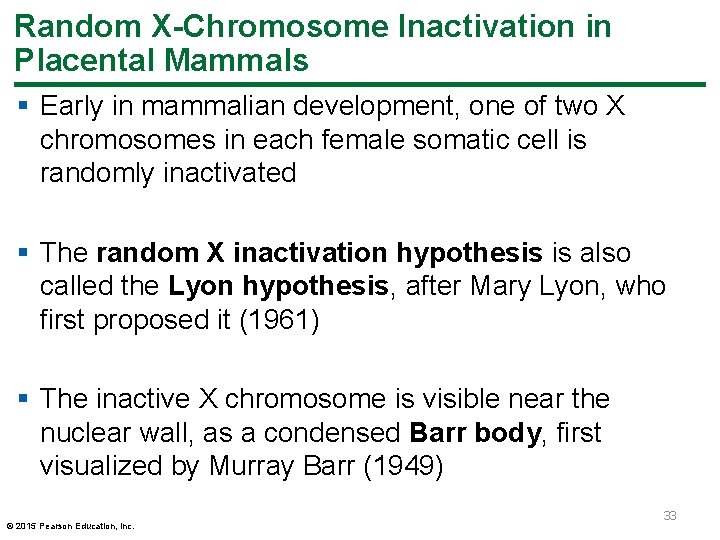 Random X-Chromosome Inactivation in Placental Mammals § Early in mammalian development, one of two