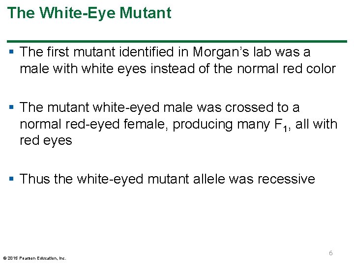 The White-Eye Mutant § The first mutant identified in Morgan’s lab was a male