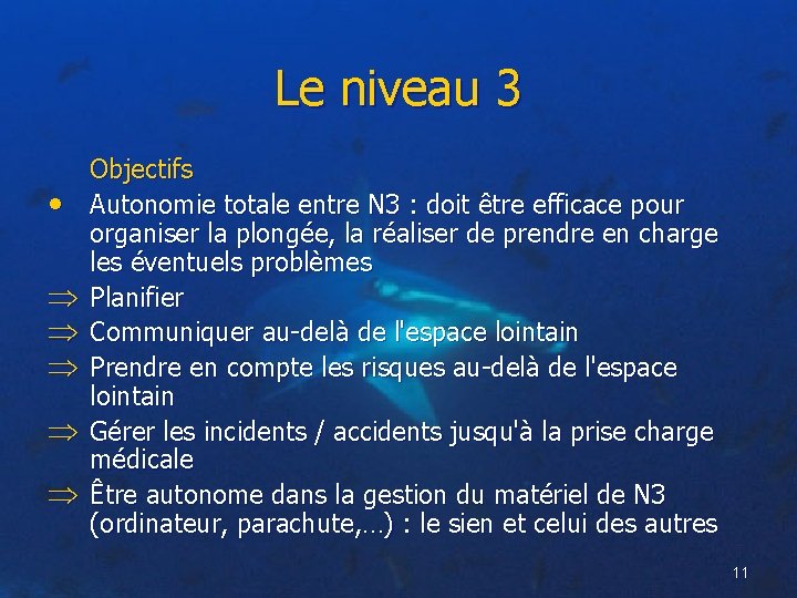 Le niveau 3 • Objectifs Autonomie totale entre N 3 : doit être efficace