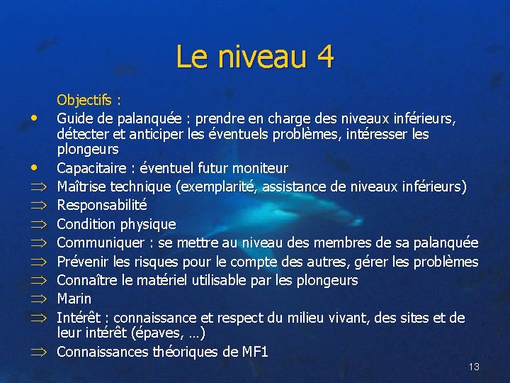 Le niveau 4 • • Objectifs : Guide de palanquée : prendre en charge