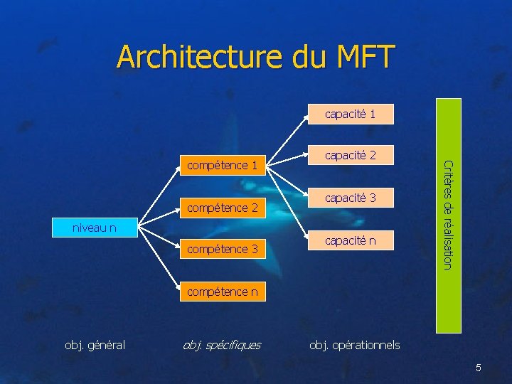 Architecture du MFT capacité 1 compétence 2 niveau n compétence 3 capacité n Critères