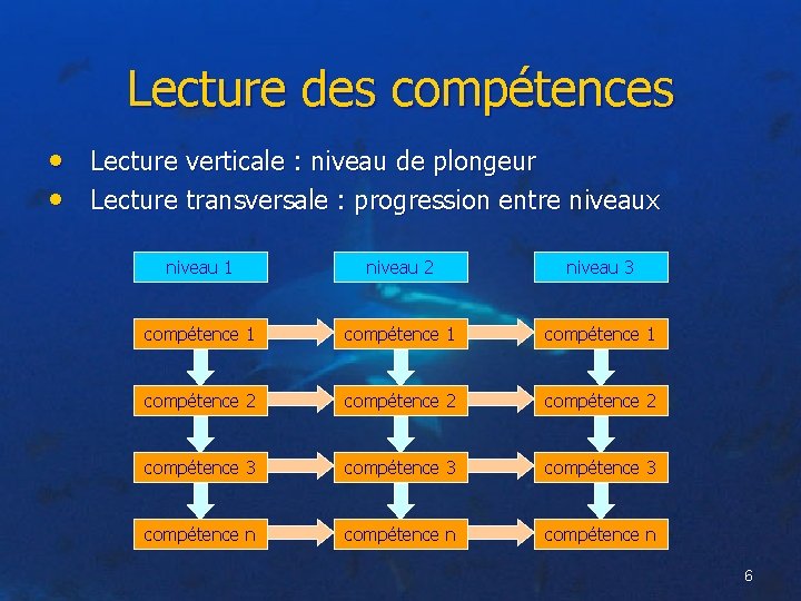 Lecture des compétences • Lecture verticale : niveau de plongeur • Lecture transversale :