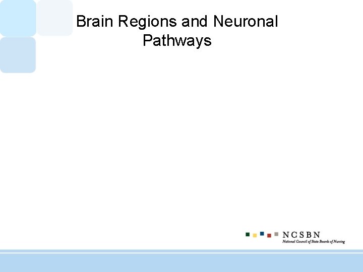 Brain Regions and Neuronal Pathways 