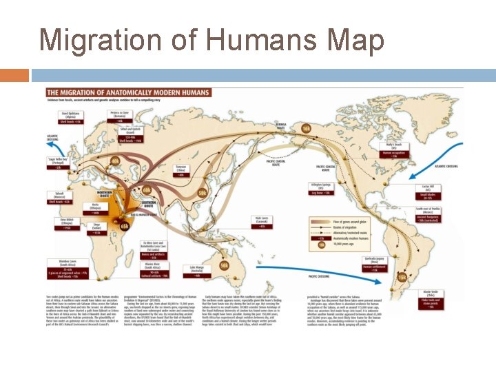 Migration of Humans Map 
