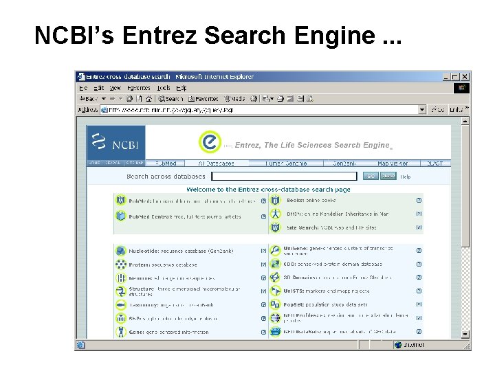 NCBI’s Entrez Search Engine. . . NCBI’s Entrez Search Engine. . .