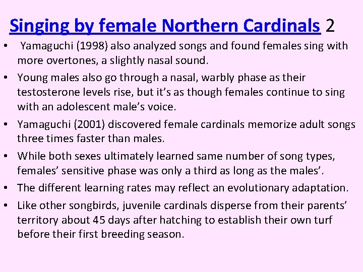 Singing by female Northern Cardinals 2 • Yamaguchi (1998) also analyzed songs and found