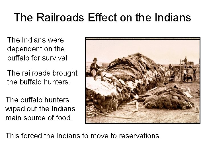 The Railroads Effect on the Indians The Indians were dependent on the buffalo for