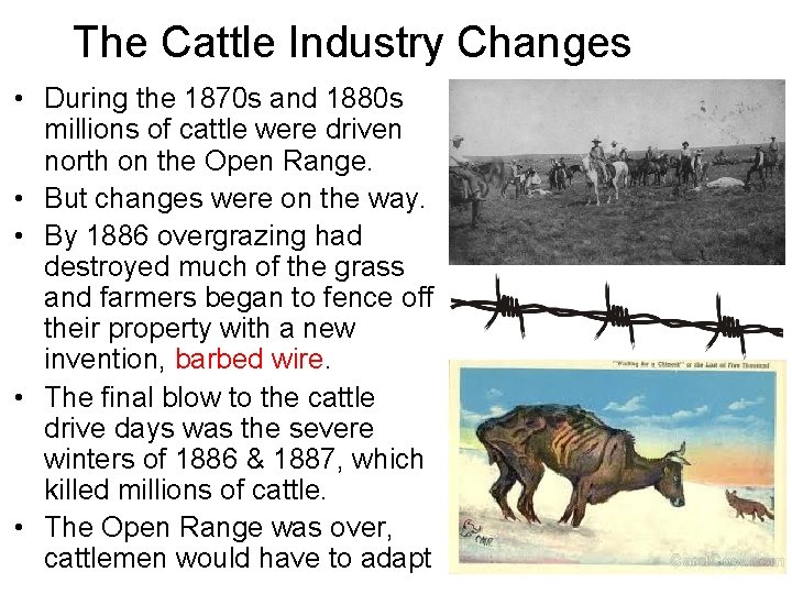 The Cattle Industry Changes • During the 1870 s and 1880 s millions of