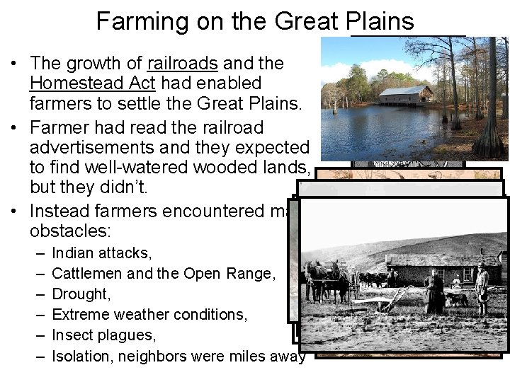 Farming on the Great Plains • The growth of railroads and the Homestead Act