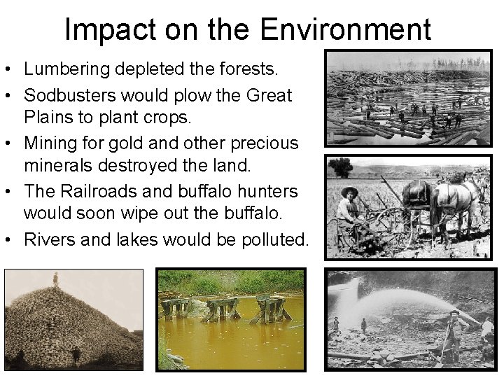 Impact on the Environment • Lumbering depleted the forests. • Sodbusters would plow the