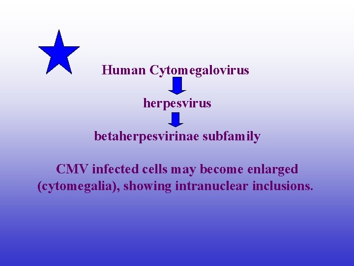 Human Cytomegalovirus herpesvirus betaherpesvirinae subfamily CMV infected cells may become enlarged (cytomegalia), showing intranuclear