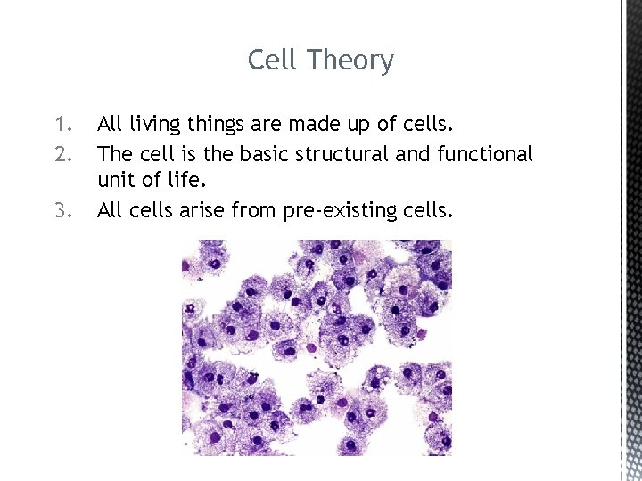 Cell Theory 1. 2. 3. All living things are made up of cells. The