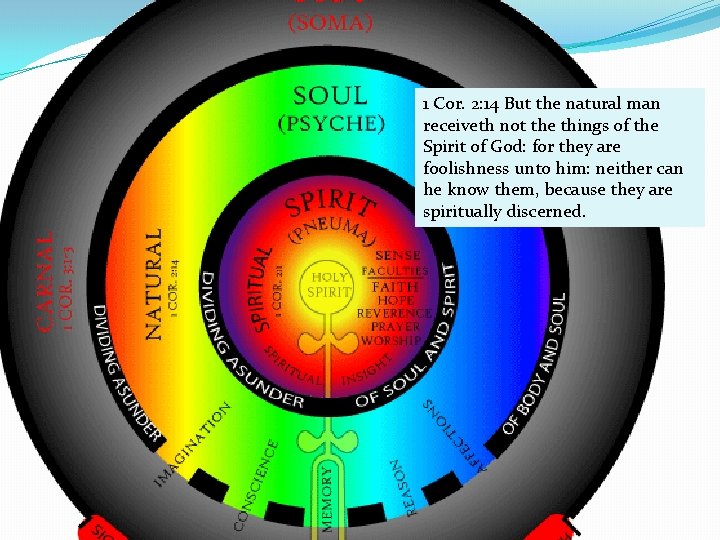 1 Cor. 2: 14 But the natural man receiveth not the things of the 1 Cor. 2: 14 But the natural man receiveth not the things of the