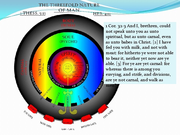 1 Cor. 3: 1 -3 And I, brethren, could not speak unto you as 1 Cor. 3: 1 -3 And I, brethren, could not speak unto you as
