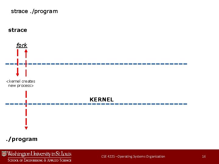 strace. /program strace fork <kernel creates new process> KERNEL . /program CSE 422 S