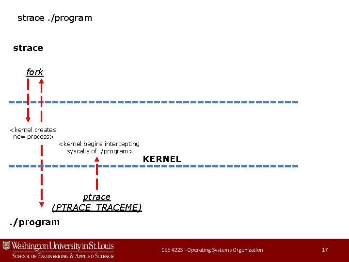 strace. /program strace fork <kernel creates new process> <kernel begins intercepting syscalls of. /program>