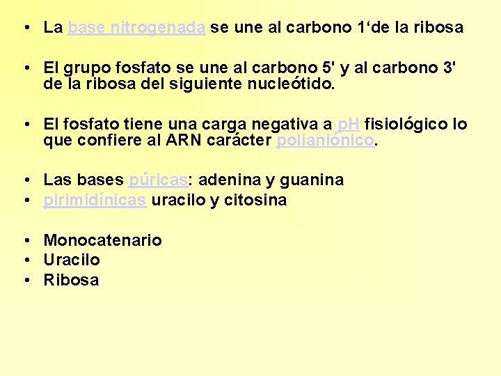  • La base nitrogenada se une al carbono 1‘de la ribosa • El