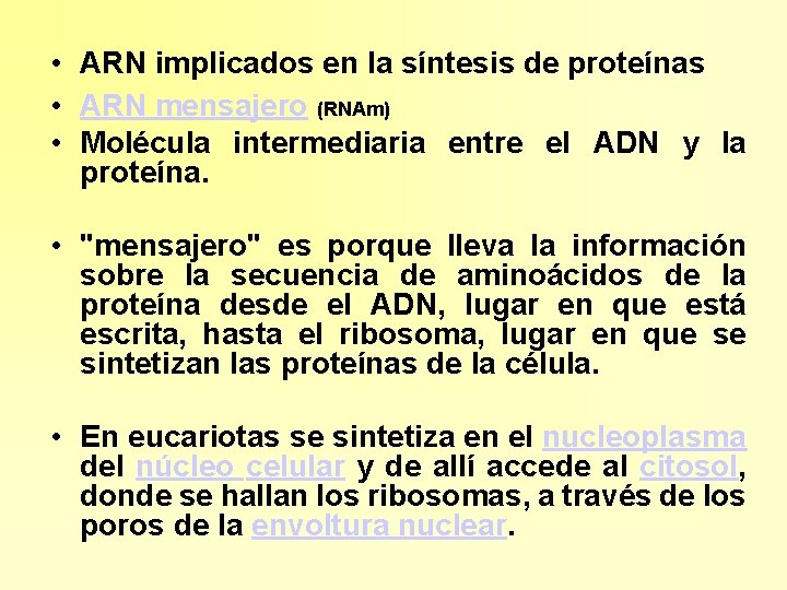  • ARN implicados en la síntesis de proteínas • ARN mensajero (RNAm) •