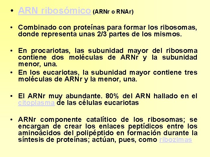  • ARN ribosómico (ARNr o RNAr) • Combinado con proteínas para formar los