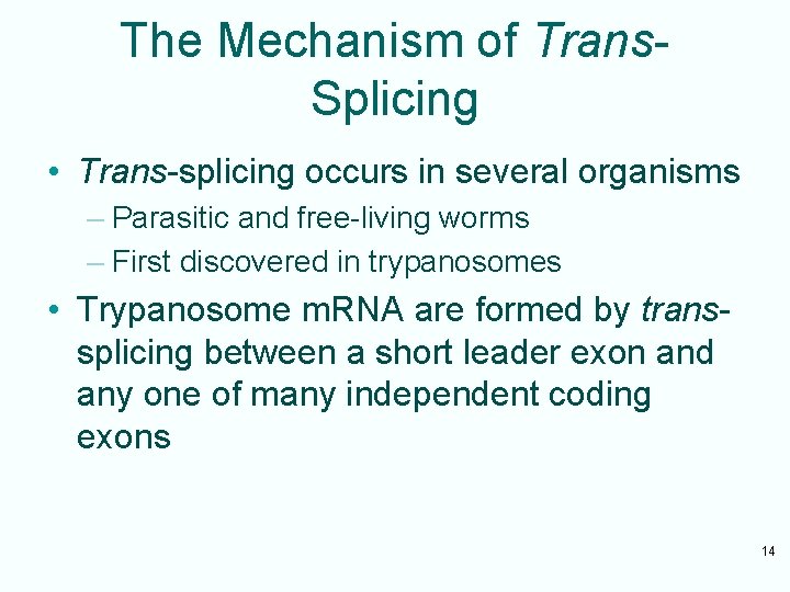 The Mechanism of Trans. Splicing • Trans-splicing occurs in several organisms – Parasitic and