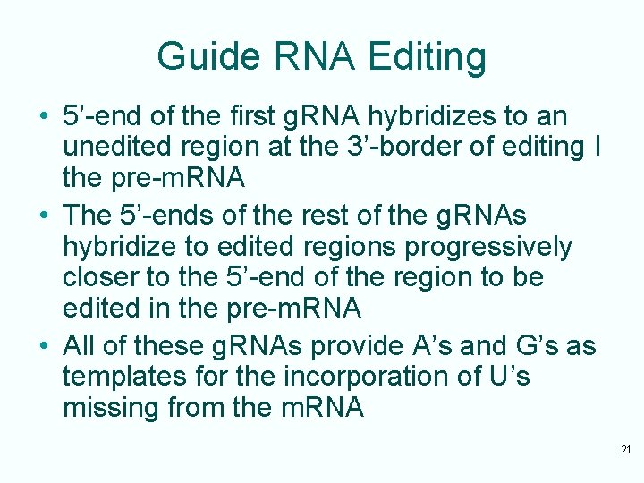 Guide RNA Editing • 5’-end of the first g. RNA hybridizes to an unedited