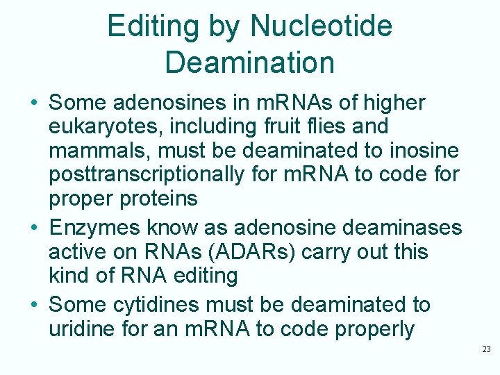 Editing by Nucleotide Deamination • Some adenosines in m. RNAs of higher eukaryotes, including