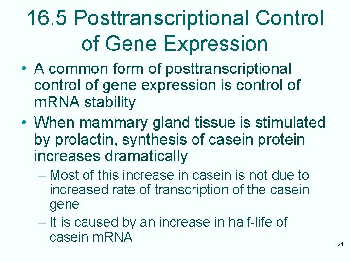 16. 5 Posttranscriptional Control of Gene Expression • A common form of posttranscriptional control