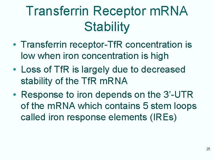 Transferrin Receptor m. RNA Stability • Transferrin receptor-Tf. R concentration is low when iron