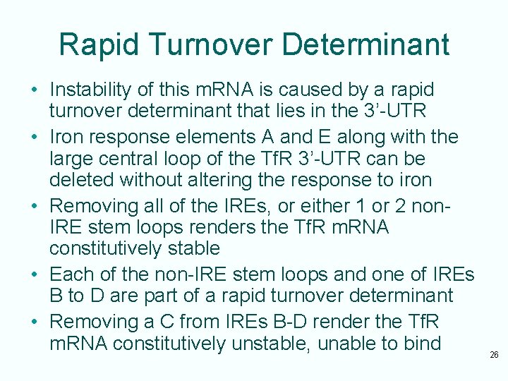 Rapid Turnover Determinant • Instability of this m. RNA is caused by a rapid