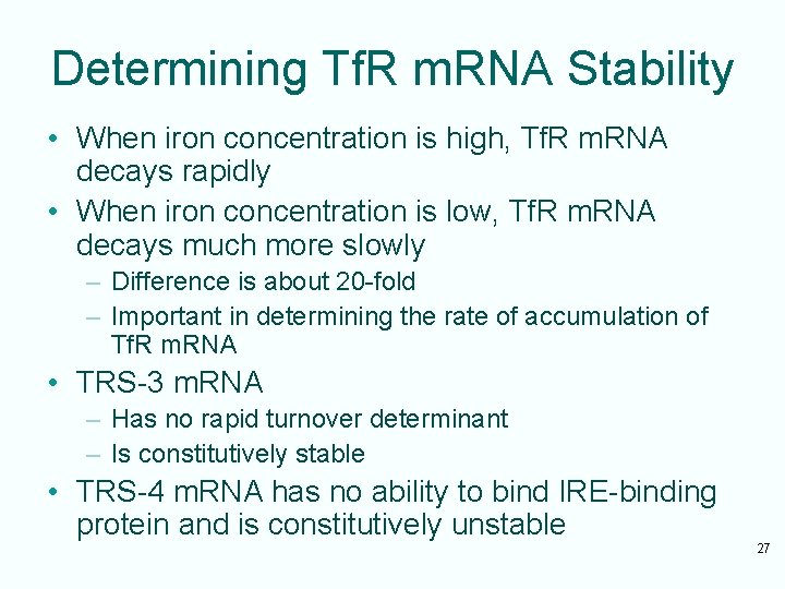 Determining Tf. R m. RNA Stability • When iron concentration is high, Tf. R