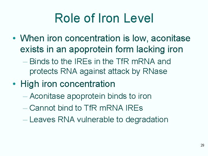 Role of Iron Level • When iron concentration is low, aconitase exists in an