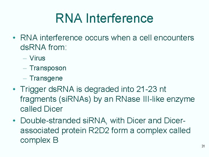 RNA Interference • RNA interference occurs when a cell encounters ds. RNA from: –