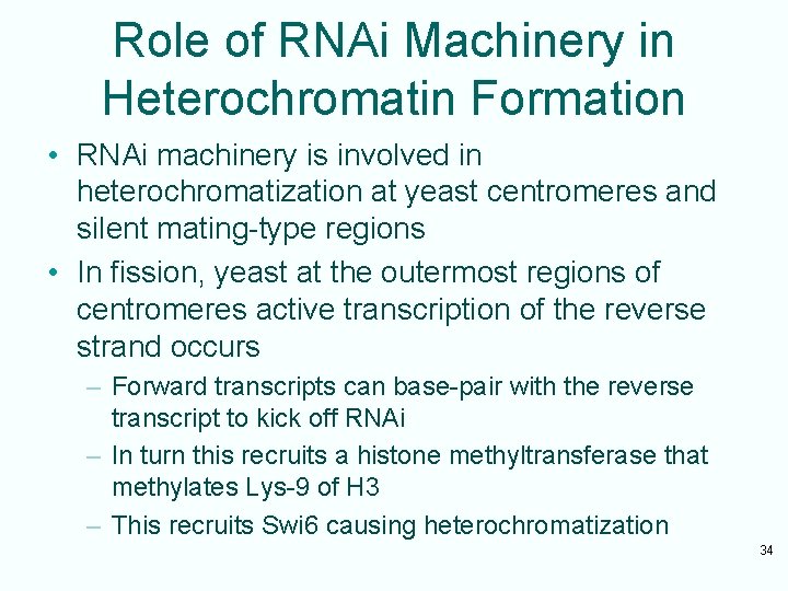 Role of RNAi Machinery in Heterochromatin Formation • RNAi machinery is involved in heterochromatization