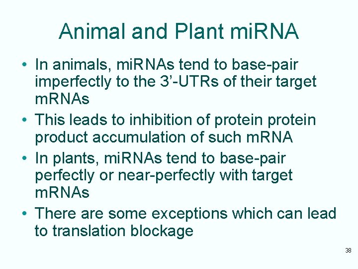 Animal and Plant mi. RNA • In animals, mi. RNAs tend to base-pair imperfectly