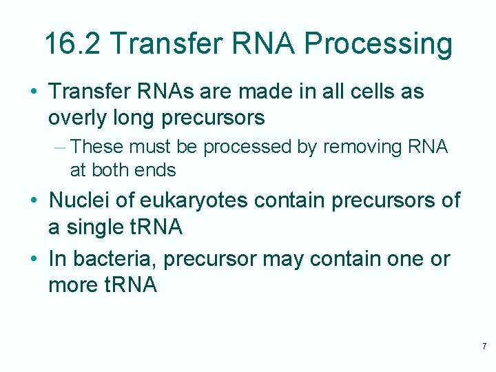 16. 2 Transfer RNA Processing • Transfer RNAs are made in all cells as