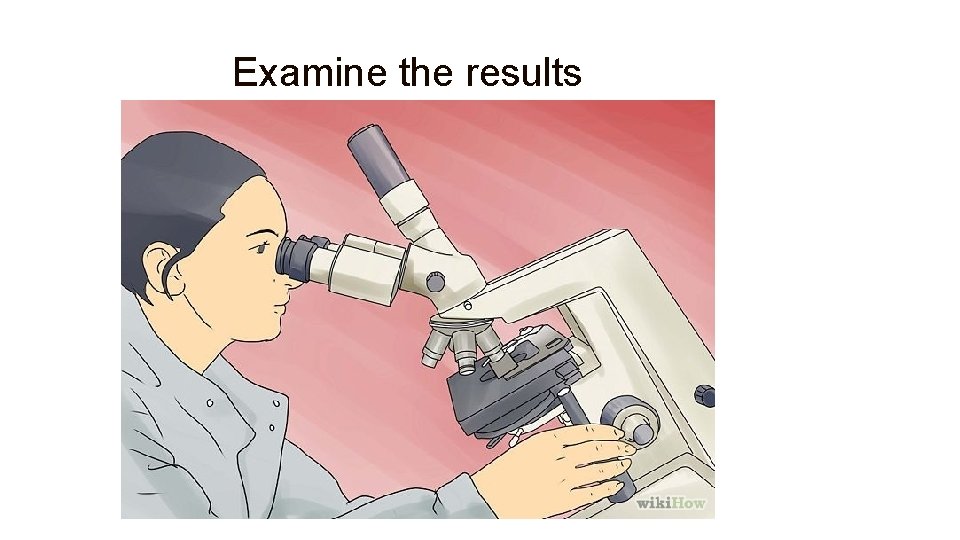 Examine the results 