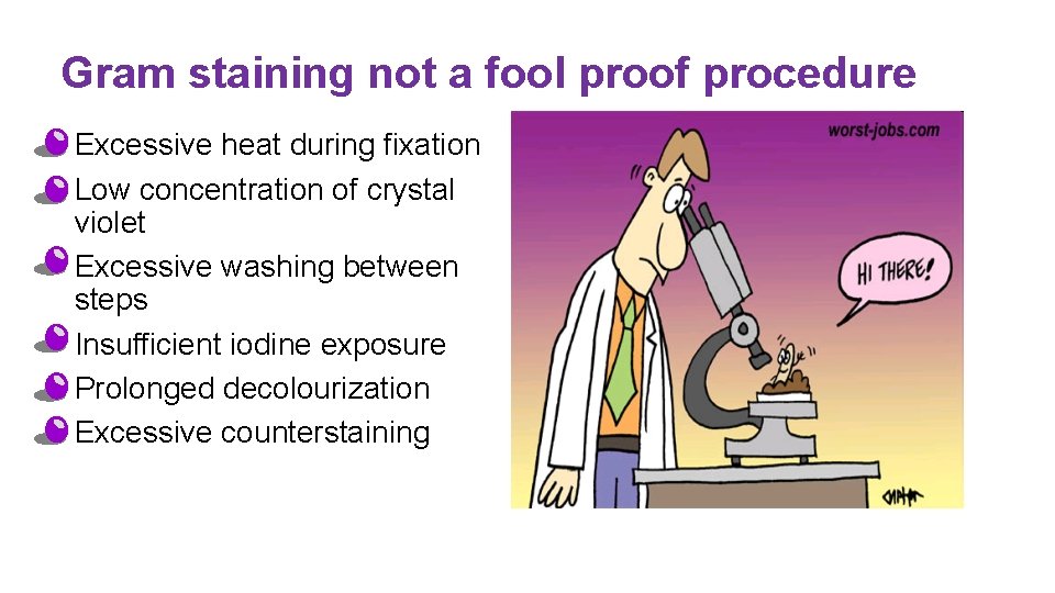 Gram staining not a fool proof procedure • Excessive heat during fixation • Low