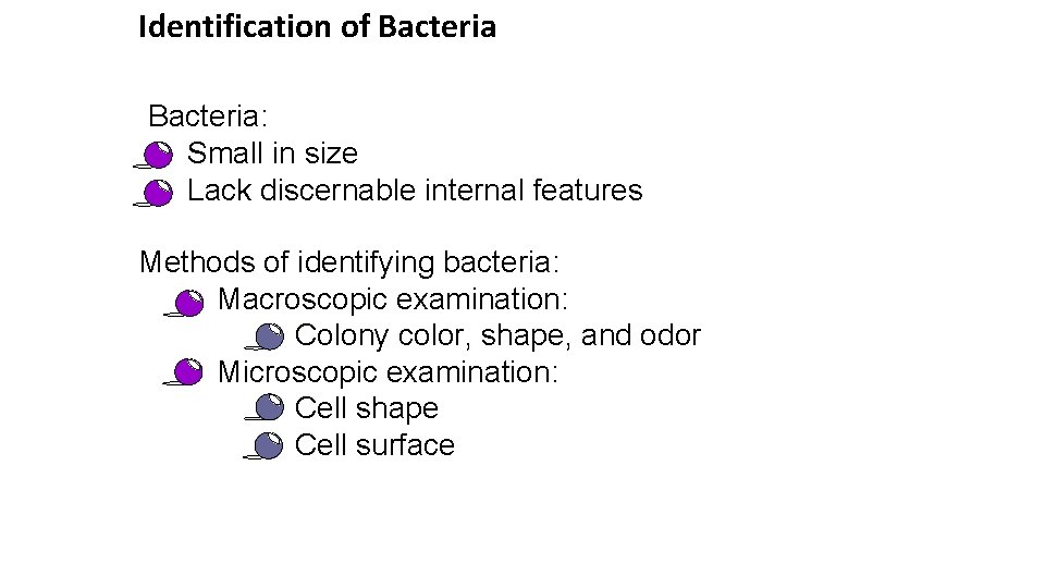 Identification of Bacteria: • Small in size • Lack discernable internal features Methods of