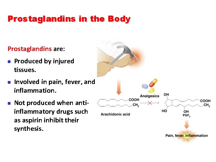 Prostaglandins in the Body Prostaglandins are: n n n Produced by injured tissues. Involved