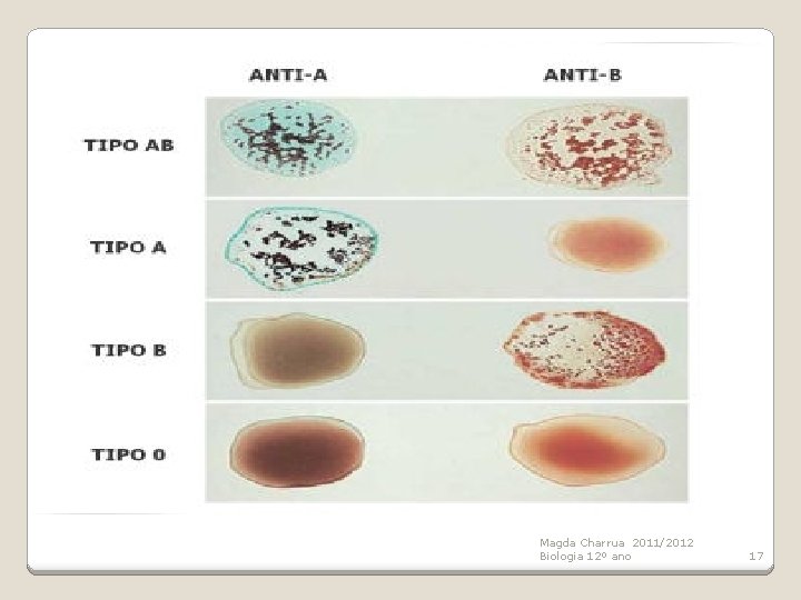 Magda Charrua 2011/2012 Biologia 12º ano 17 