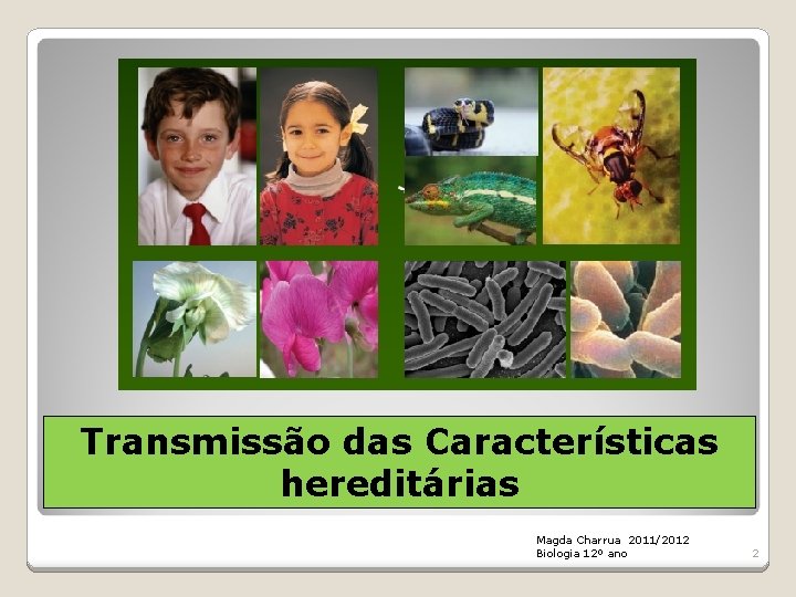 Transmissão das Características hereditárias Magda Charrua 2011/2012 Biologia 12º ano 2 
