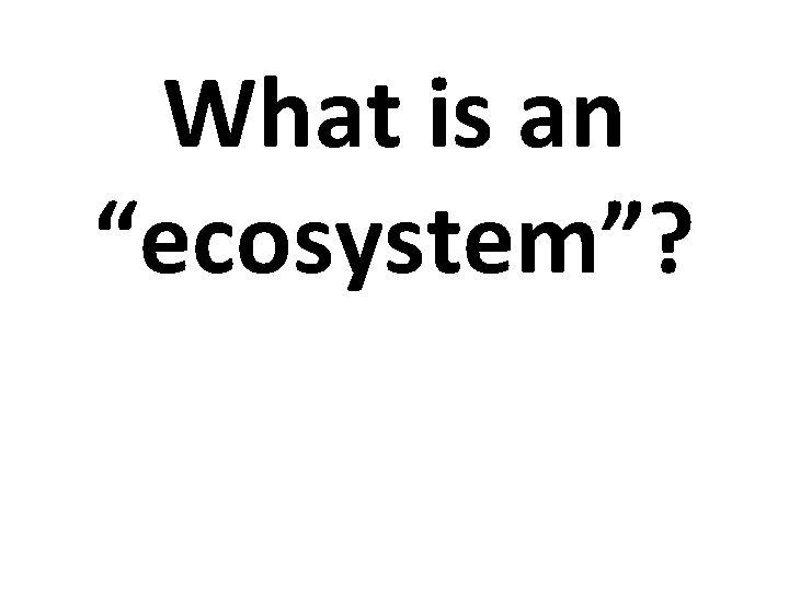 What is an “ecosystem”? 