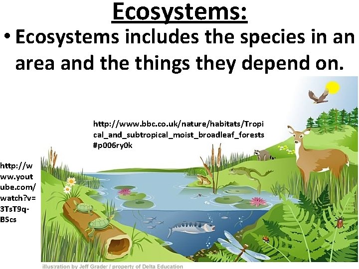 Ecosystems: • Ecosystems includes the species in an area and the things they depend