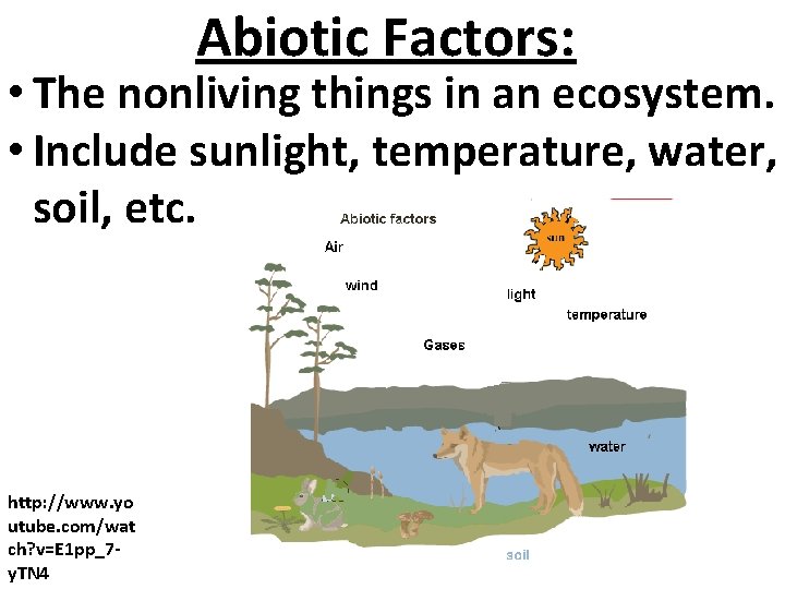 Abiotic Factors: • The nonliving things in an ecosystem. • Include sunlight, temperature, water,