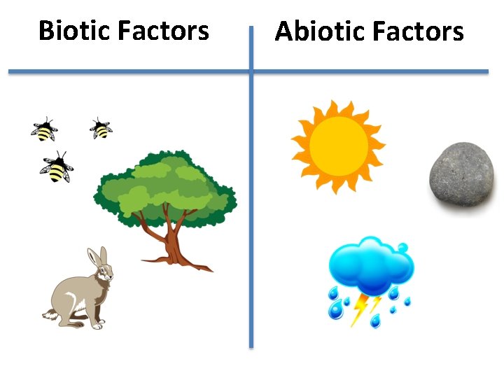 Biotic Factors Abiotic Factors 
