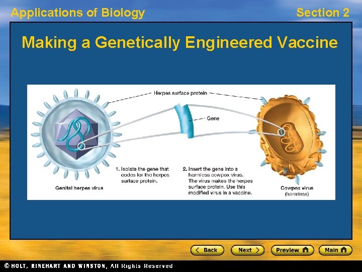 Applications of Biology Section 2 Making a Genetically Engineered Vaccine 