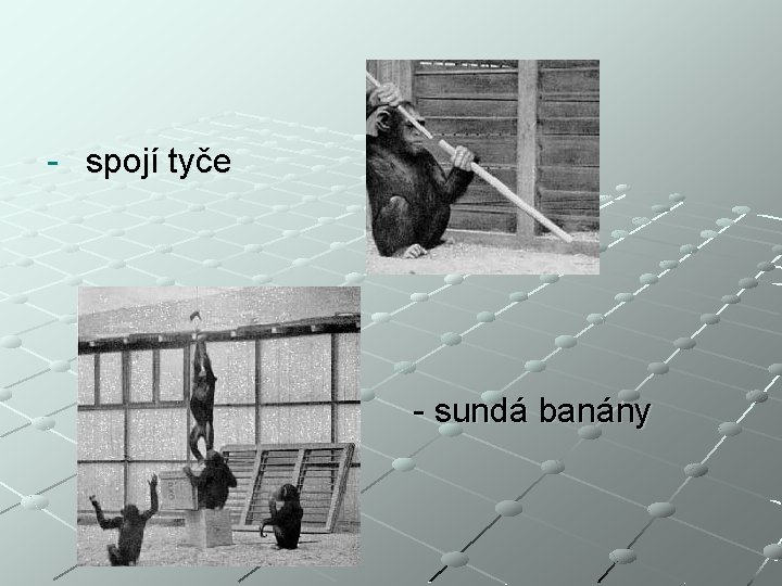 - spojí tyče - sundá banány 