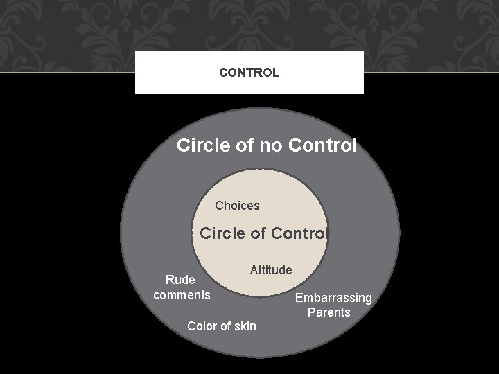 CONTROL Circle of no Control Choices Circle of Control Rude comments Attitude Color of