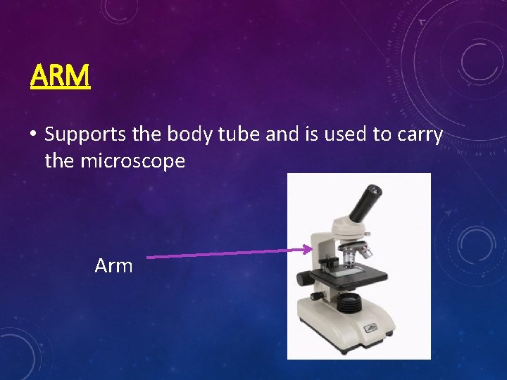 ARM • Supports the body tube and is used to carry the microscope Arm