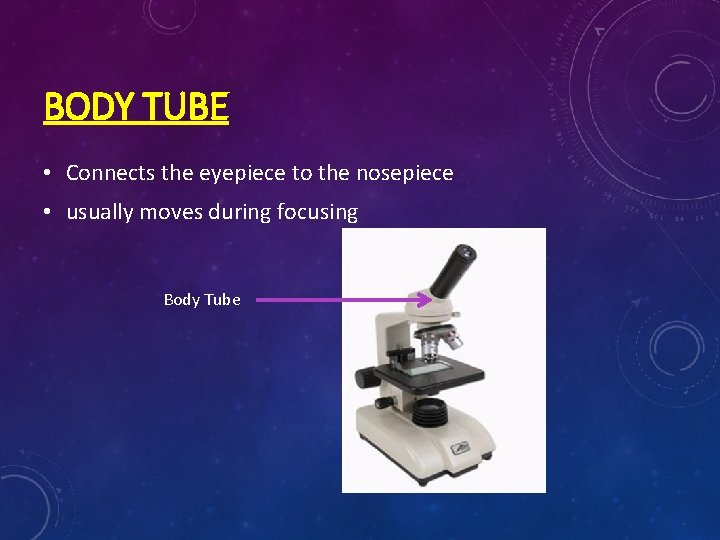 BODY TUBE • Connects the eyepiece to the nosepiece • usually moves during focusing